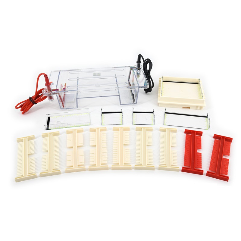 Nucleic Acid Horizontal Electrophoresis Cell DYCP-31DN