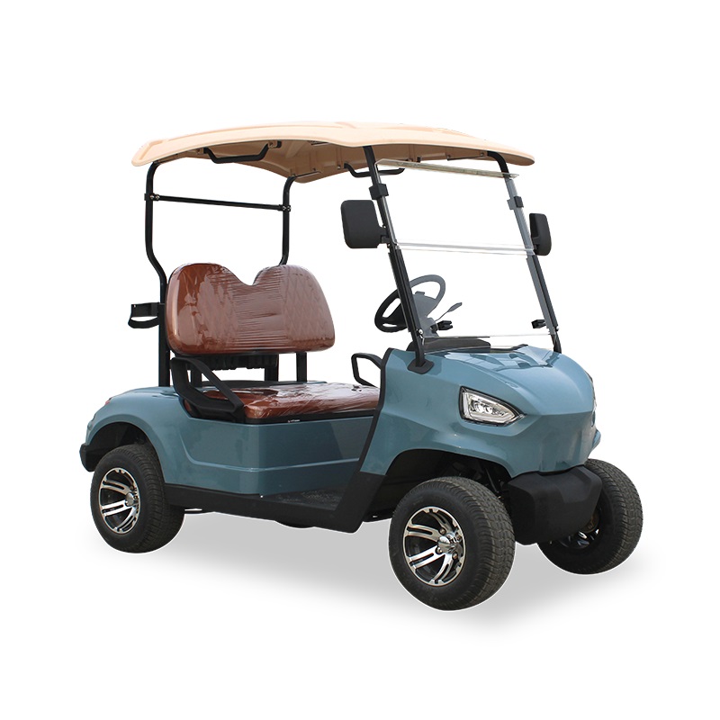 Golf Kart 2 Passenger Suitable for Fancy Golf Carts