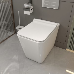 Back to Wall Toilet, Square Elongated One-Piece Toilet, Dual-Flush,Glossy White (Seat Included)