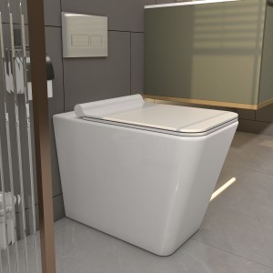 Back to Wall Toilet, Square Elongated One-Piece Toilet, Dual-Flush,Glossy White (Seat Included)