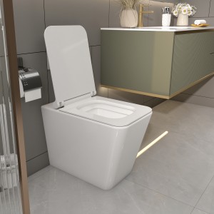 Back to Wall Toilet, Square Elongated One-Piece Toilet, Dual-Flush,Glossy White (Seat Included)