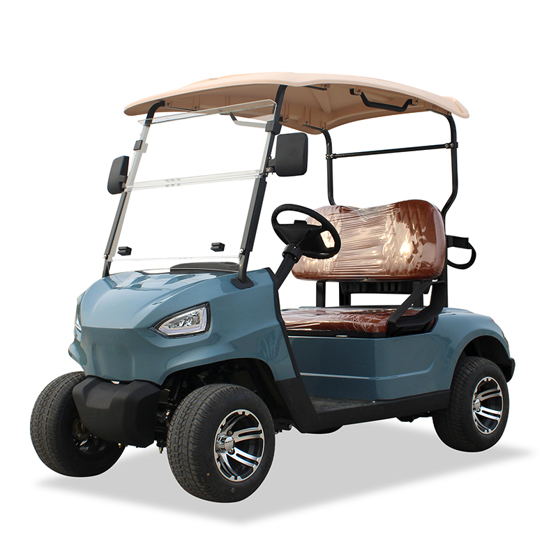 Golf Cart 2 Passenger with New Design 48v 5kw