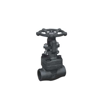 Forged Steel Globe Valve