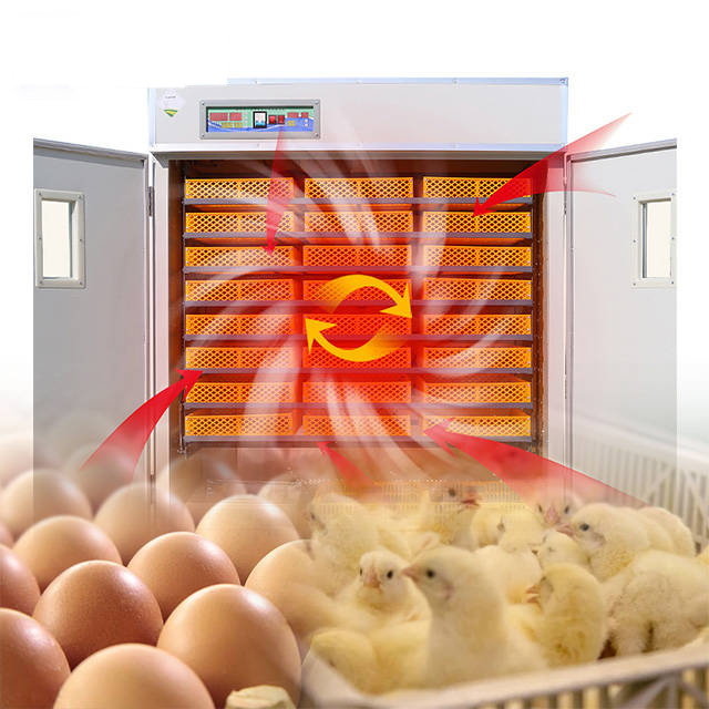 Poultry Farm Agricultural Machinery Automatic Chicken Egg Incubator Hatching 10000 Eggs