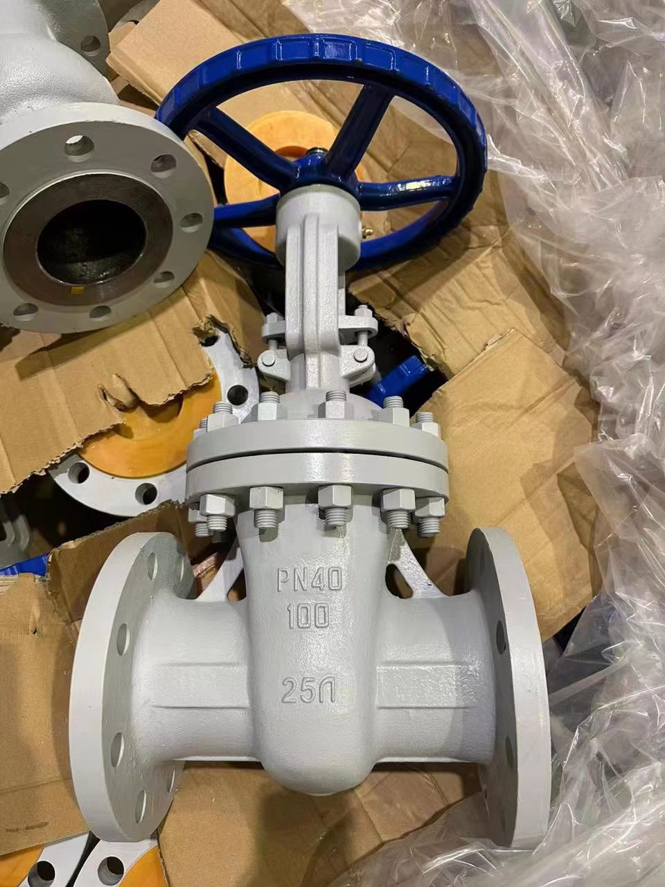 30s41nj GOST 12820-80 20Л/20ГЛ PN16 PN40  Gate Valve