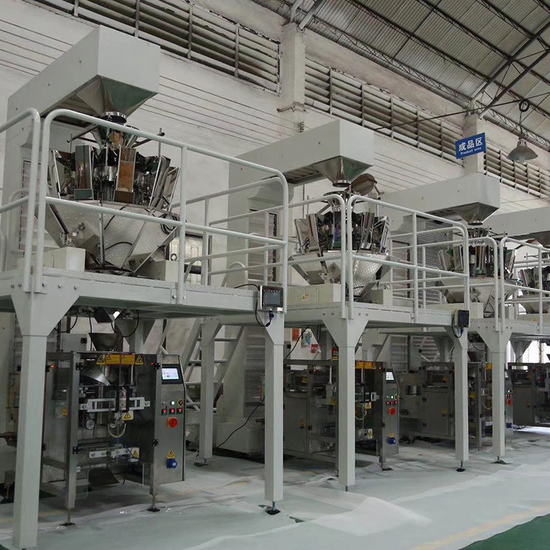 Z Bucket elevator for packing machine